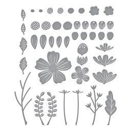 Zeige Details für Spellbinders Etched Dies-Be Bold Blooms Bild von Spellbinders Etched Dies-Be Bold Blooms