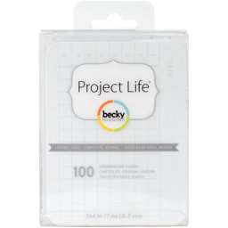 Bild von Project Life 3"X4" Cards 100/Pkg-Ledger