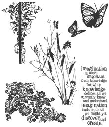 Bild von Tim Holtz Cling Stamps 7"X8.5"-Nature's Discovery