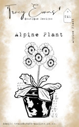 Zeige Details für Tracy Evans - Alpine Plant Bild von Tracy Evans - Alpine Plant