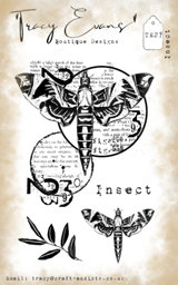 Zeige Details für Tracy Evans - Insect Bild von Tracy Evans - Insect