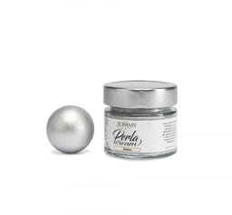 Zeige Details für Perlmuttpaste von Tommy Art - Farbe Platin Bild von Perlmuttpaste von Tommy Art - Farbe Platin