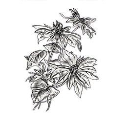 Zeige Details für Mini Poinsettia- Sizzix Texture Fades Embossing Folder by Tim Holtz Bild von Mini Poinsettia- Sizzix Texture Fades Embossing Folder by Tim Holtz