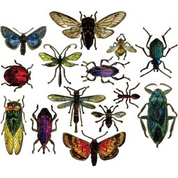 Zeige Details für Sizzix Framelits Dies By Tim Holtz 14/Pkg-Entomology Bild von Sizzix Framelits Dies By Tim Holtz 14/Pkg-Entomology