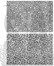 Zeige Details für Tim Holtz Cling Stamps 7"X8.5"-Tiny Prints Bild von Tim Holtz Cling Stamps 7"X8.5"-Tiny Prints