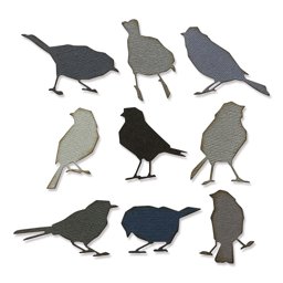 Zeige Details für Sizzix Thinlits Dies By Tim Holtz 9/Pkg-Silhouette Birds Bild von Sizzix Thinlits Dies By Tim Holtz 9/Pkg-Silhouette Birds