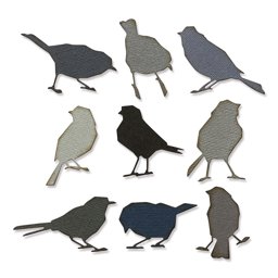 Bild von Sizzix Thinlits Dies By Tim Holtz 9/Pkg-Silhouette Birds