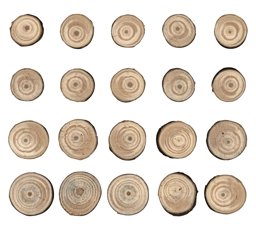 Zeige Details für Idea-Ology Wood Slices 15/Pkg-Natural Raw Edge 1" To 1.25" Bild von Idea-Ology Wood Slices 15/Pkg-Natural Raw Edge 1" To 1.25"