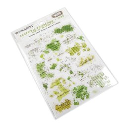 Zeige Details für 49 And Market Essential Textblends Rub-Ons 6"X8" 2/Pkg-Fern Bild von 49 And Market Essential Textblends Rub-Ons 6"X8" 2/Pkg-Fern