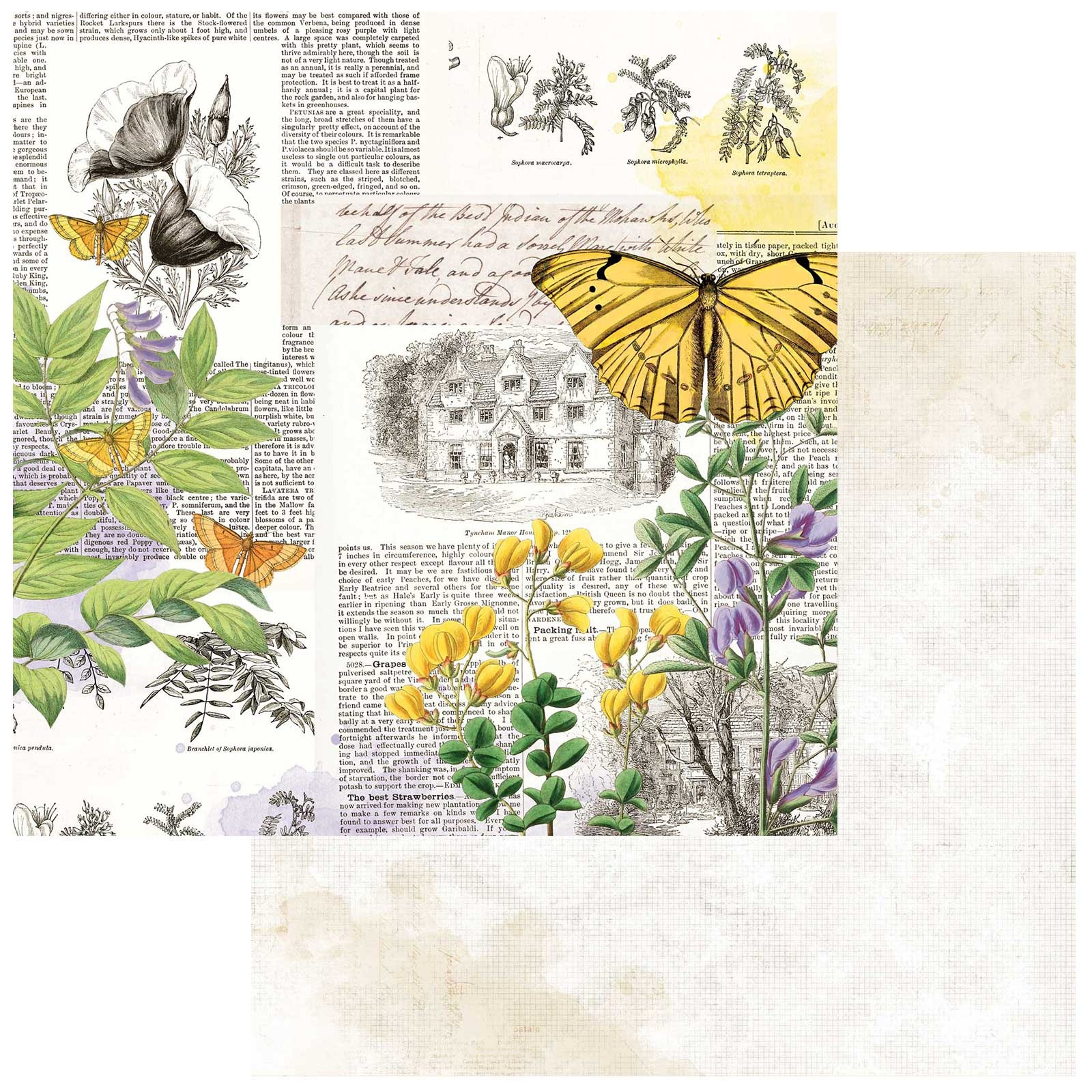 Bild von Curators Botanical Cardstock 5 Blatt  12"X12"-Flutterology