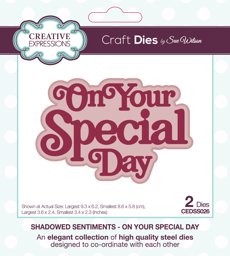 Bild von Creative Expressions Craft Dies By Sue Wilson-Shadowed Sentiments On Your Special Day