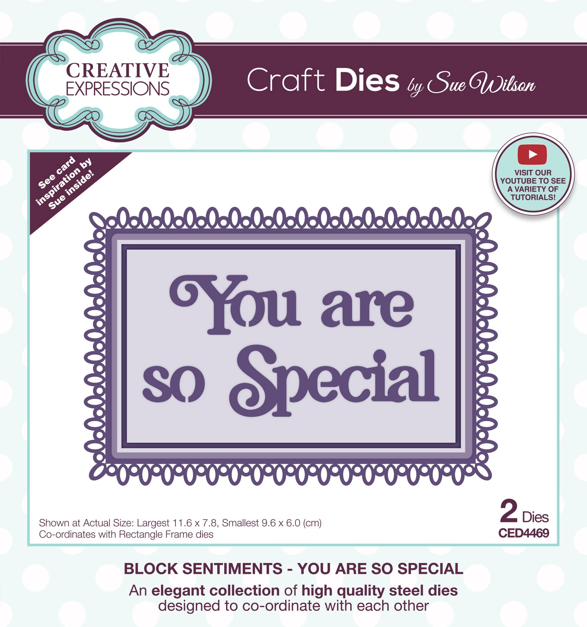 Bild von Creative Expressions Craft Dies By Sue Wilson-Block Sentiments- You Are So Special