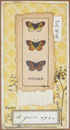 Bild von Creative Expressions A5 Clear Stamp Set By Sam Poole-Dates From The Past