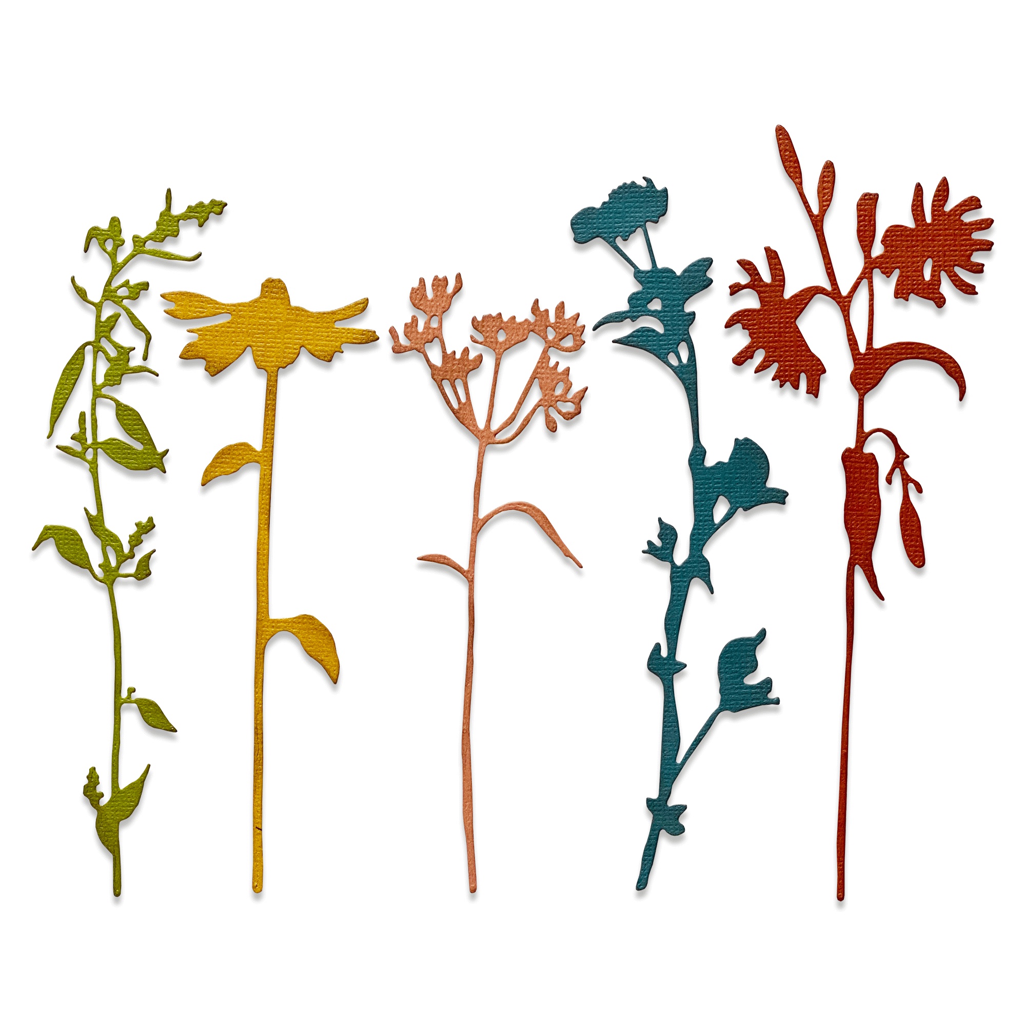 Bild von Sizzix Thinlits Dies By Tim Holtz 5/Pkg-Wildflower Stems #3