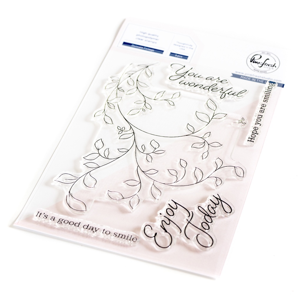 Bild von Pinkfresh Studio Clear Stamp Set 4"X6"-Delicate Foliage