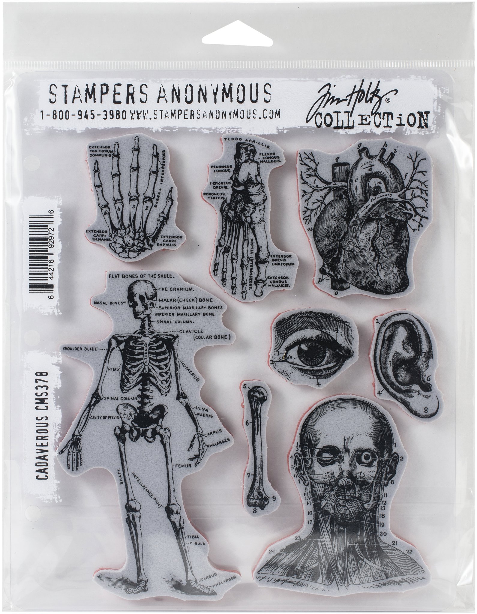 Bild von Tim Holtz Cling Stamps 7"X8.5"-Cadaverous