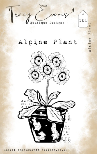 Bild von Tracy Evans - Alpine Plant