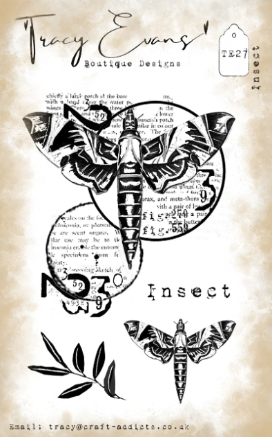 Bild von Tracy Evans - Insect
