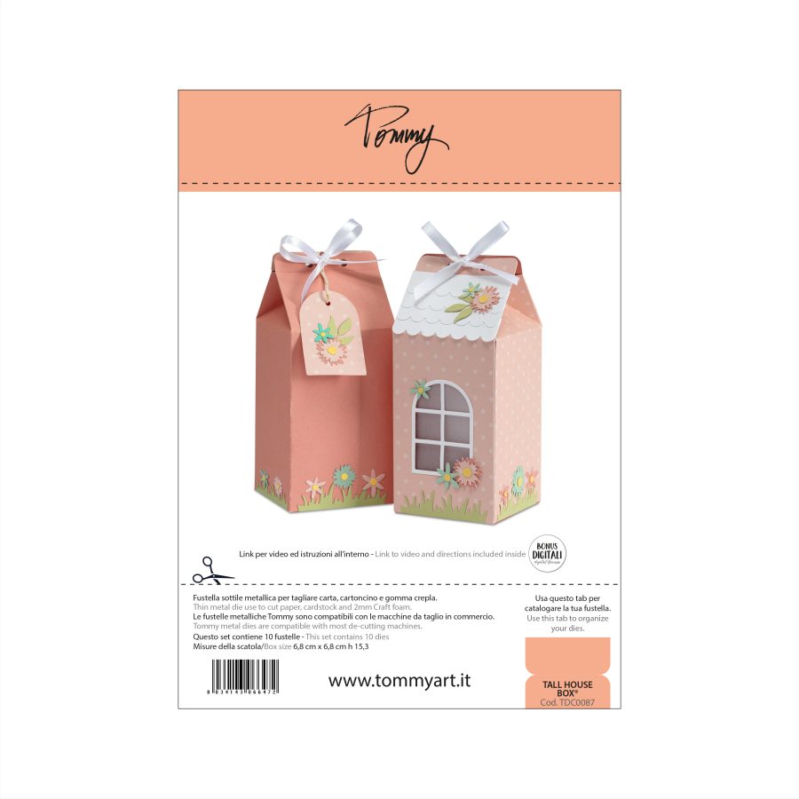 Bild von Tall House Box von Tommy Art