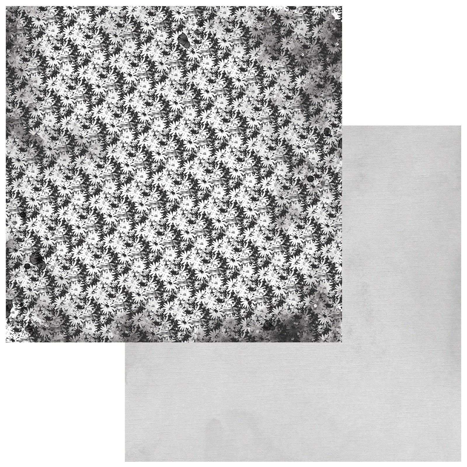 Bild von Color Swatch: Charcoal Double-Sided Cardstock 12"X12"-#5