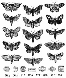 Bild von Tim Holtz Cling Stamps 7"X8.5"-Moth Study