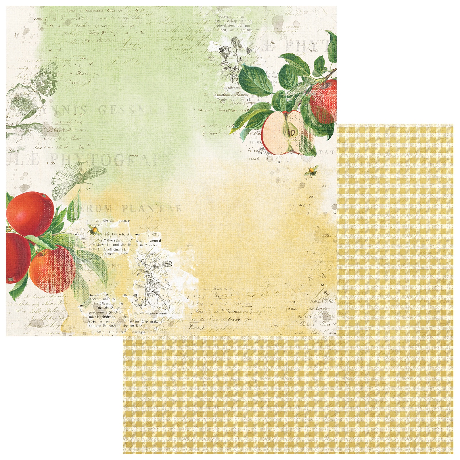 Bild von Vintage Orchard Double-Sided Cardstock 12"X12"-Apple Delight