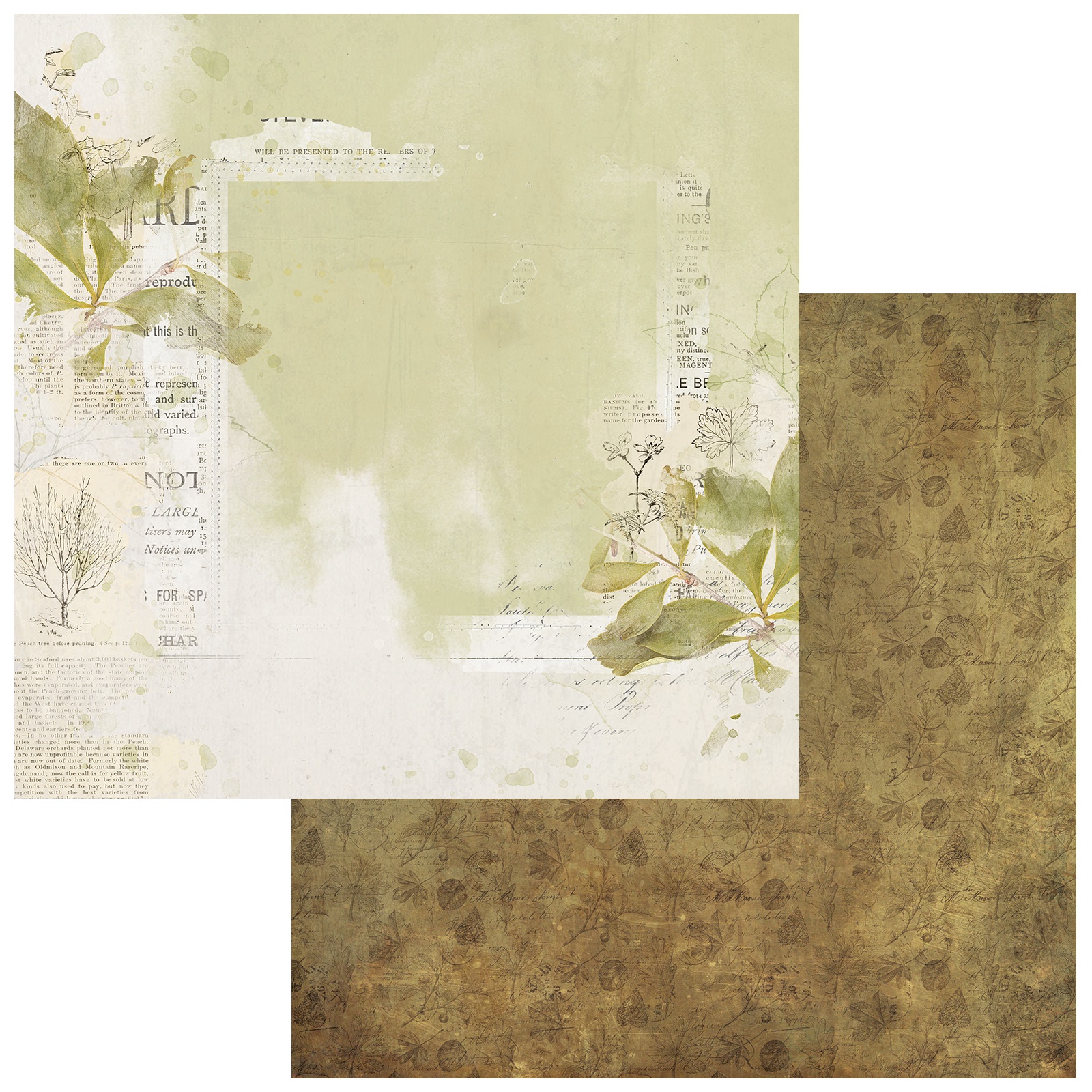 Bild von Vintage Orchard Double-Sided Cardstock 12"X12"-Pressed Leaves