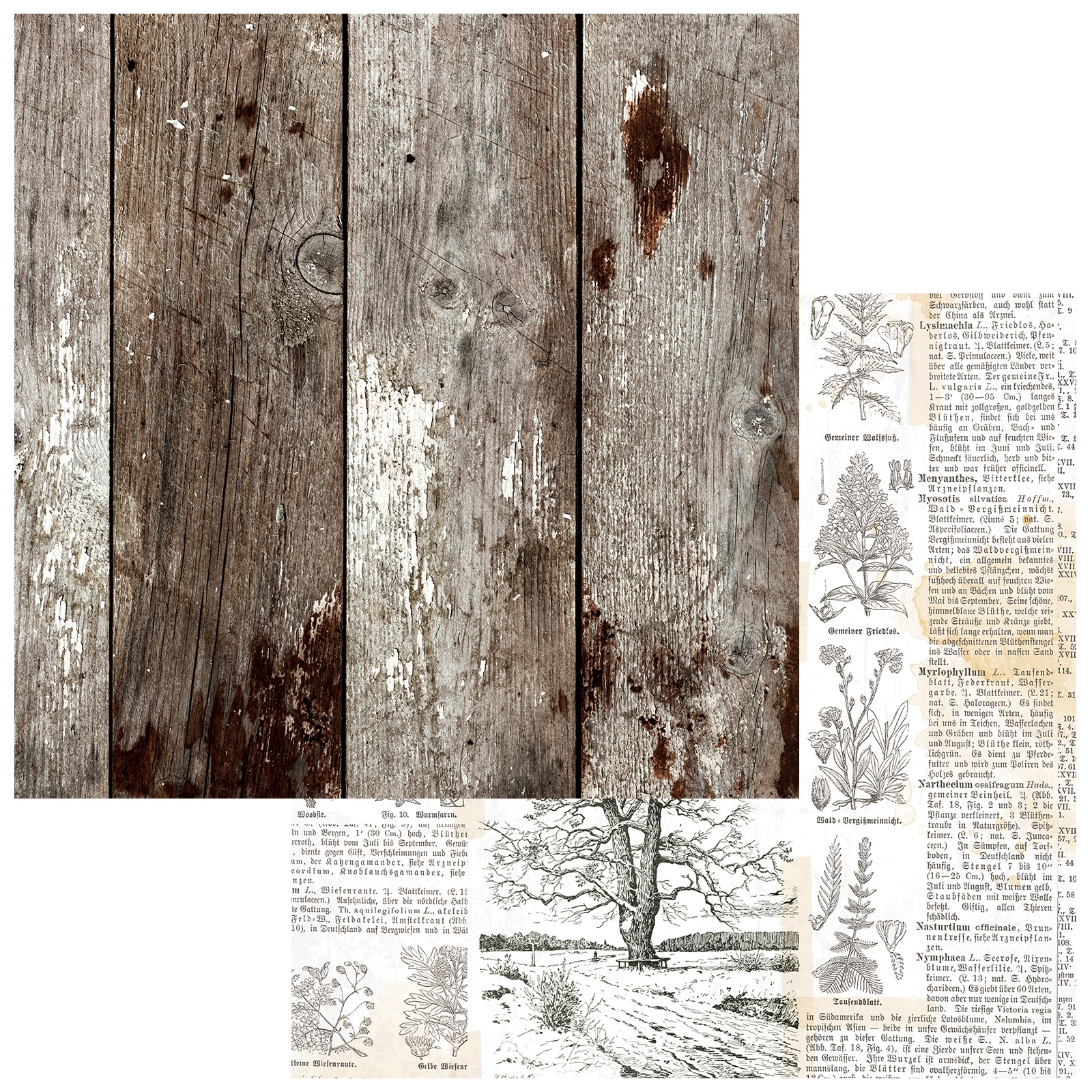 Bild von Vintage Orchard Double-Sided Cardstock 12"X12"-Woodgrained