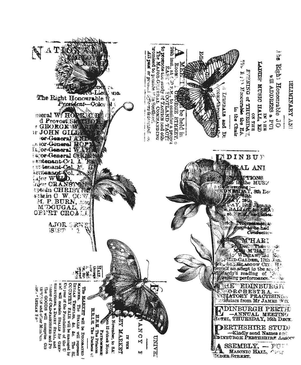 Bild von Tim Holtz Cling Stamps - Botanic Collage
