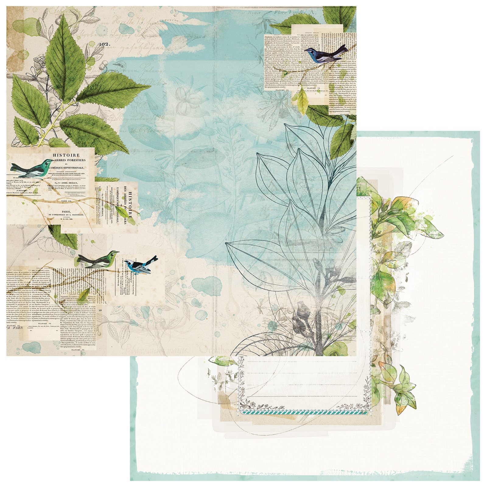 Bild von Birdsong Double-Sided Cardstock 12"X12"-Cheerful Chatter