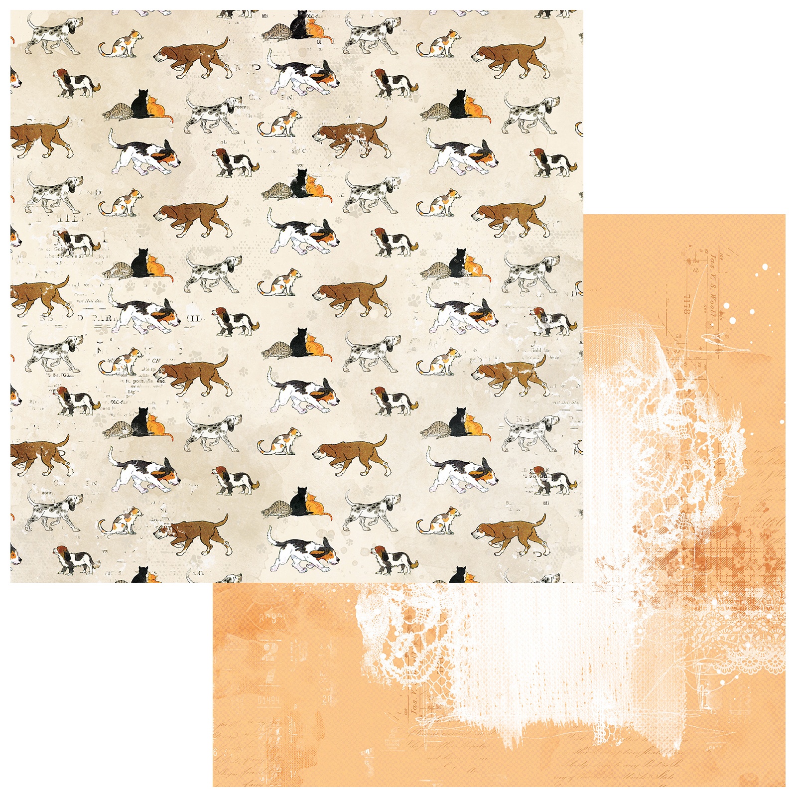 Bild von Toddler Time Double-Sided Cardstock 12"X12"-Cats And Dogs