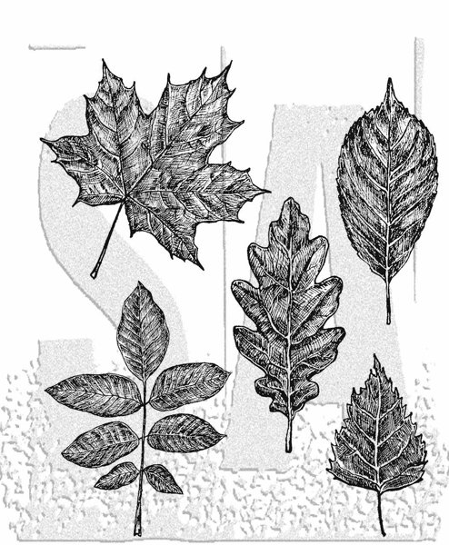 Bild von Tim Holtz Cling Stamps 7"X8.5"-Sketchy Leaves