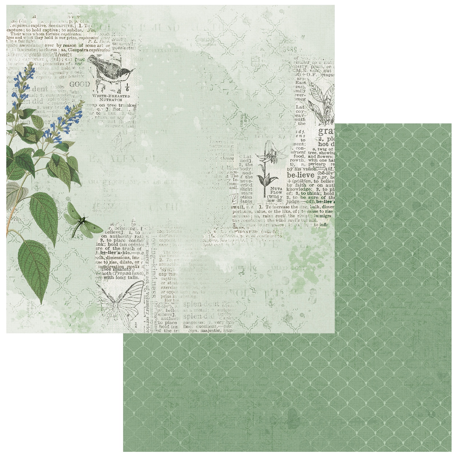 Bild von Color Swatch: Willow Double-Sided Cardstock 12"X12"-#1