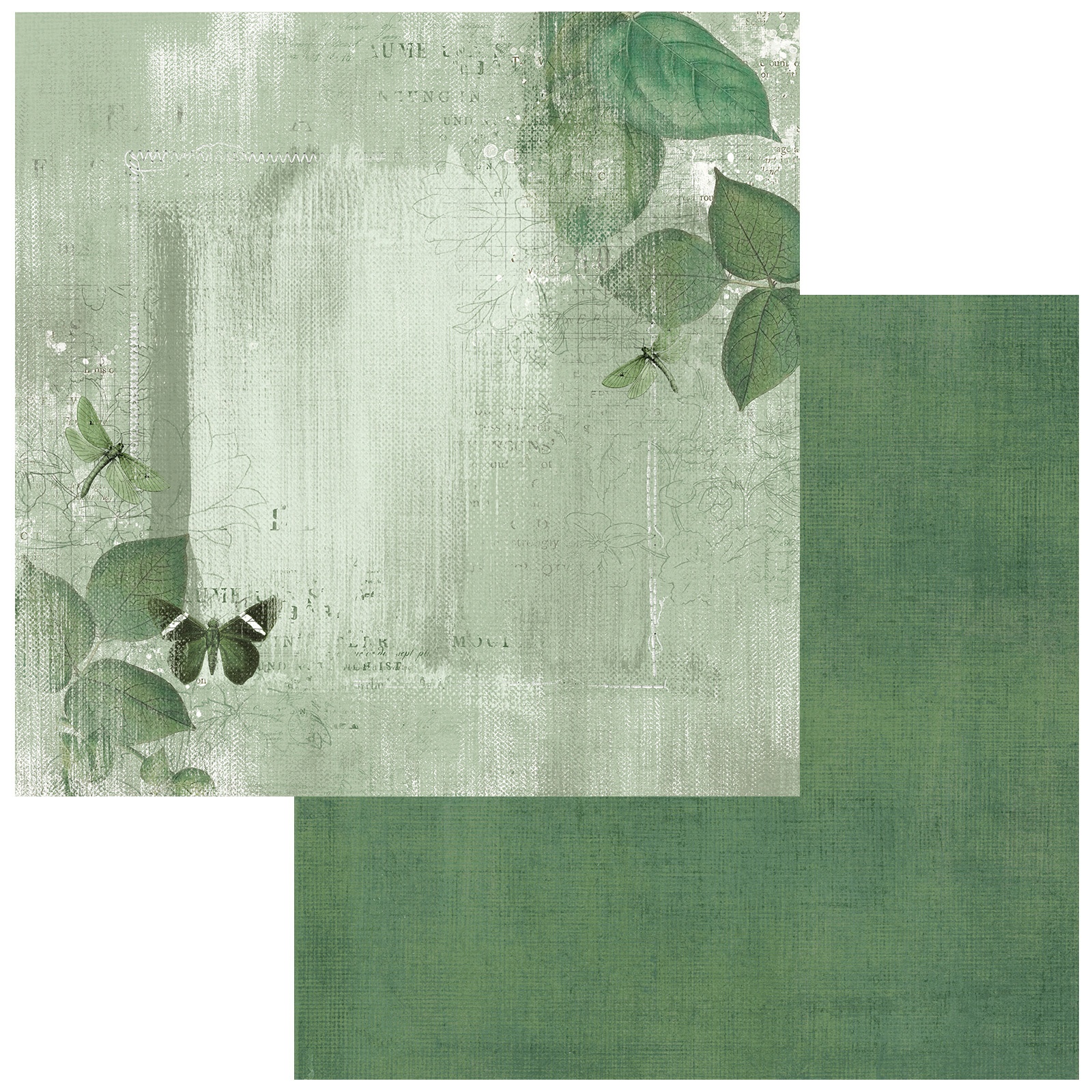 Bild von Color Swatch: Willow Double-Sided Cardstock 12"X12"-#5