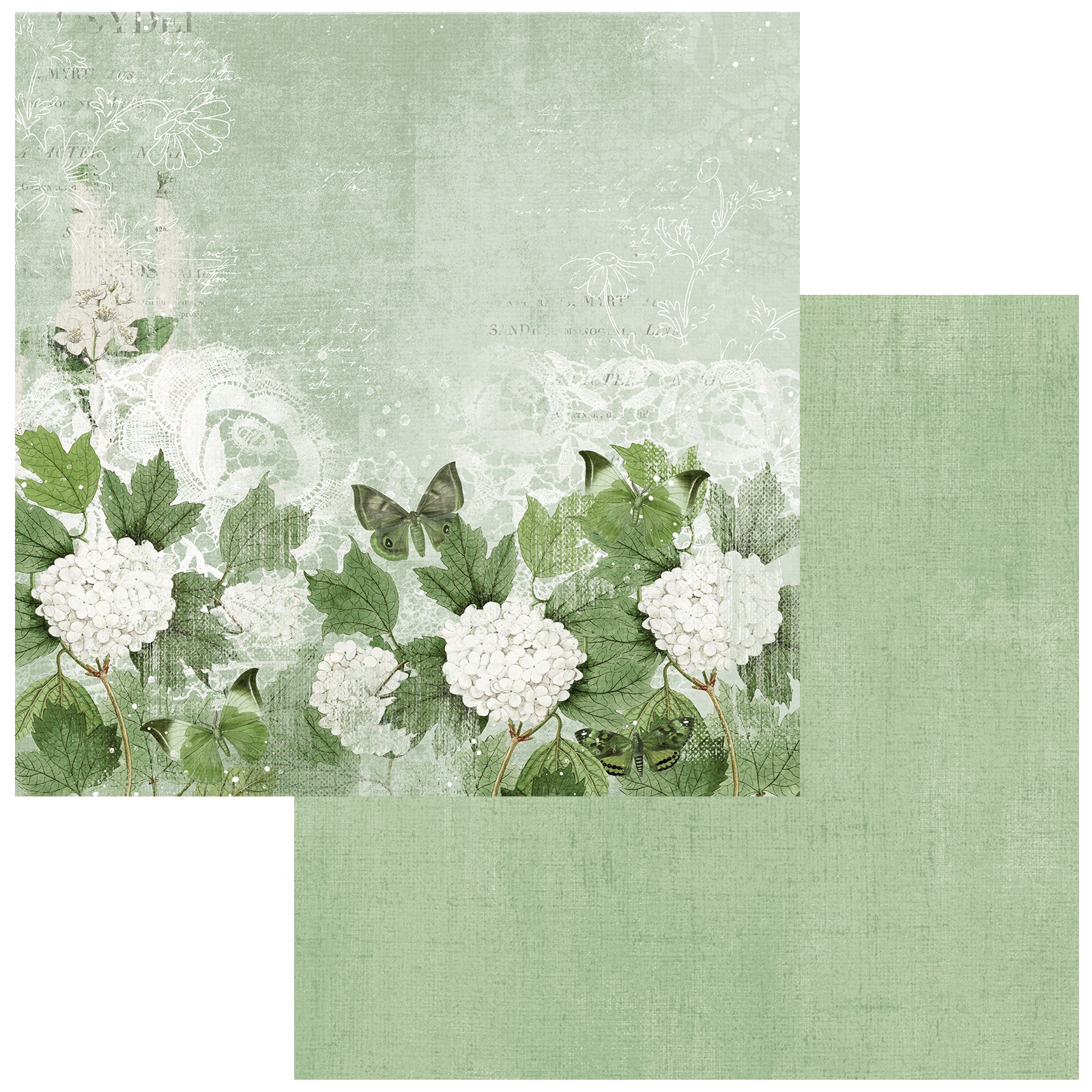 Bild von Color Swatch: Willow Double-Sided Cardstock 12"X12"-#2
