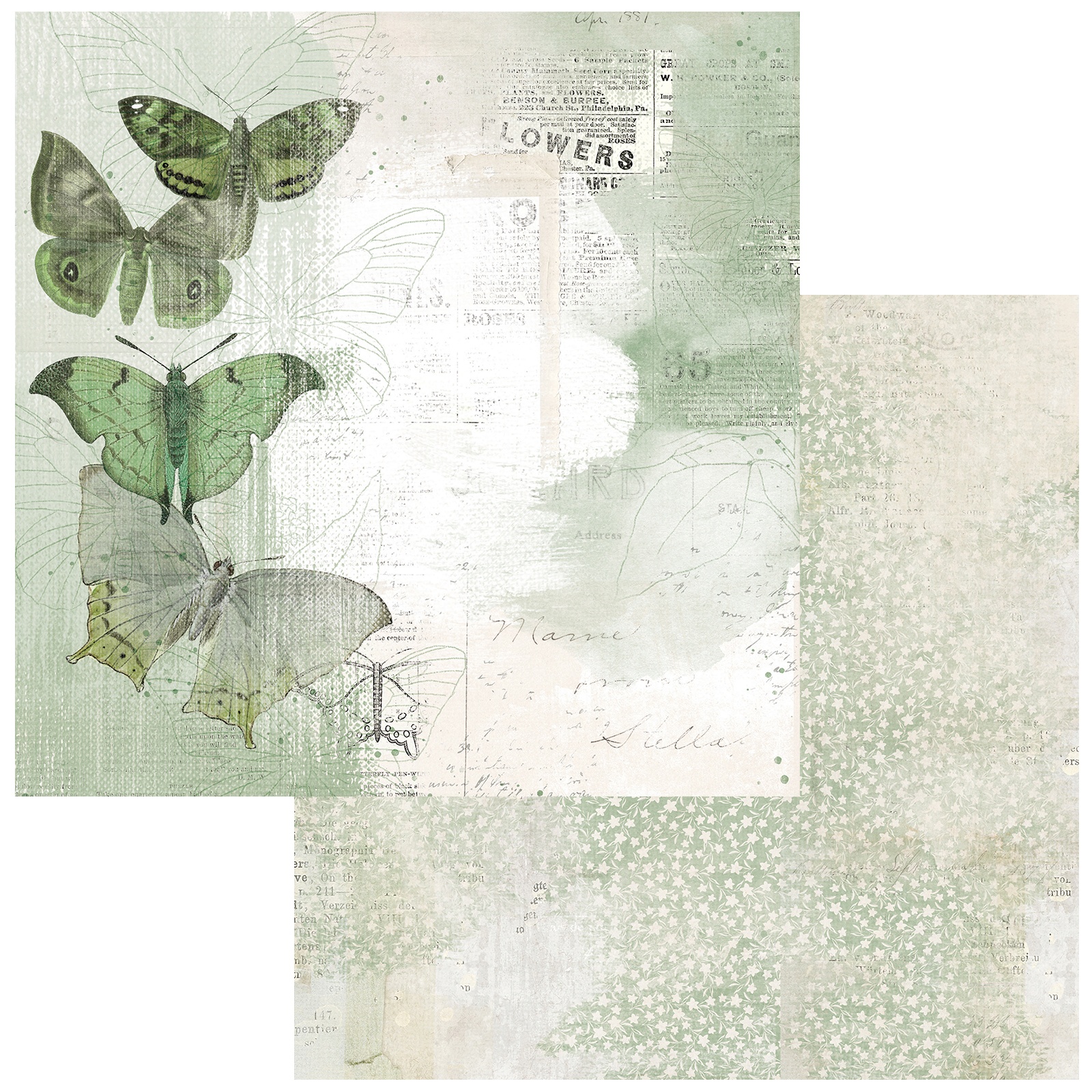 Bild von Color Swatch: Willow Double-Sided Cardstock 12"X12"-#3