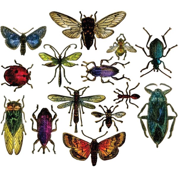 Bundle Entomology - Tim Holtz Stanzen- und Stempelset
