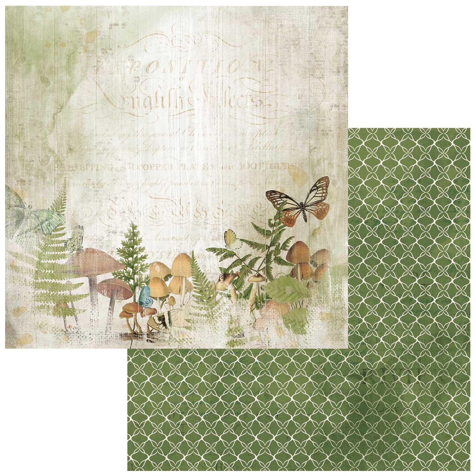 Bild von Nature Study Cardstock 5 Blatt  12"X12"-Natural Habitat