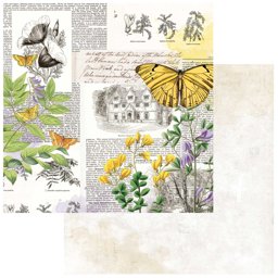 Bild von Curators Botanical Cardstock 5 Blatt  12"X12"-Flutterology