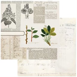 Bild von Curators Botanical Cardstock 5 Blatt  12"X12"-Florilegia