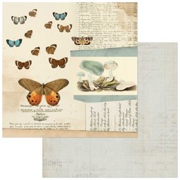 Bild von Curators Meadow Cardstock 5 Blatt  12"X12"-Papillon