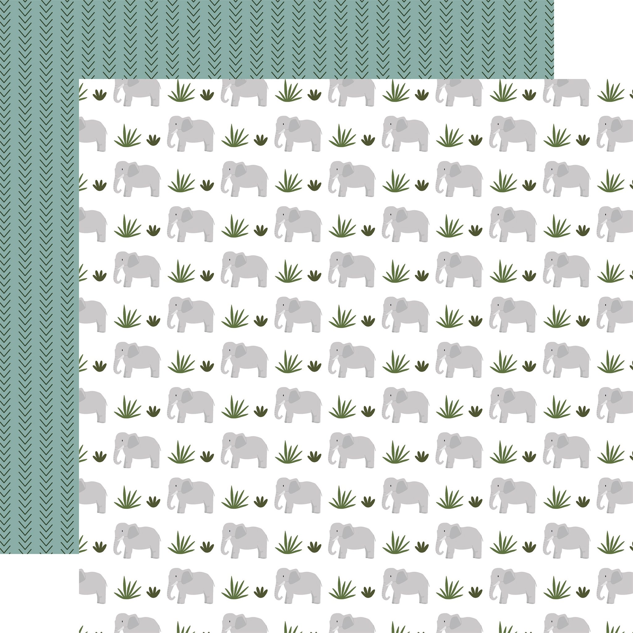 Bild von Little Explorer Cardstock 5 Blatt  12"X12"-Exploring Elephants 