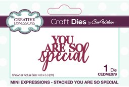 Bild von Creative Expressions Craft Dies By Sue Wilson-Mini Expressions- You Are So Special